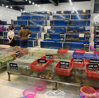 Cho Thuê Nhà Mặt Phố Nguyễn Thị Định Diện Tích: 65M2 X 5T Mt: 4,5M 2 45 Triệu/Tháng Kd Mọi Mô Hình, Vị Trí Đẹp