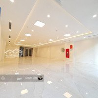 Bán Gấp Toà Văn Phòng 9 Tầng Mặt Hồ Ba Mẫu, 155M Có Hầm,Mặt Tiền8.5M, Doanh Thu 250 Triệu/Tháng