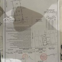 Cần Bán Mảnh Đât Diện Tích 1000 M2 Có 250 M2 Thổ Cư Quy Hoạch Dân Cư Hiện Hữu Mặt Sau Đường Nguyễn