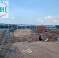 Giá Cho Thuê Toàn Bộ 2,5 Usd/M2 Cho Thuê Dt:30.000M2 Gồm 5 Xưởng Tại Bắc Tân Uyên Bình Dương