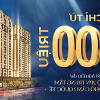 Đầu Tư, Đón Đầu Căn Hộ Biểu Tượng Thành Phố Cảng Phú Mỹ - Br Vt : Citymark Residence