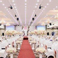 Bán Đất Siêu Vip Mặt Đường Lê Đức Thọ 1,520M2 Lô Góc 3 Mặt Thoáng Vĩnh Viễn 420Tỷ