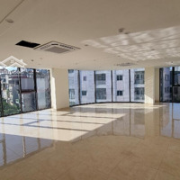 Chính Chủ Cần Bán Gấp Nhà Phố Thành Thái, Lô Góc Mặt Tiền 21M, Diện Tích 158M2 9 Tầng 1 Hầm