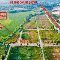 Diện Tích: 65M2, Lô Góc, Lk Tđc Đhqg Sát Trường Mầm Non Rẻ Hơn Thị Trường 2-3 Giá