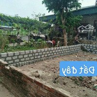 41M/1Tỷ 050 Triệu Đất Thổ Cư Sổ Đỏ, Ô Tô Moning Đỗ Cửa Tại Tự Nhiên, Thường Tín, Hà Nội