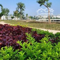 Bán Lk Phố Đi Bộ Tại Hinode Royal Park, 100 M2, Nhiều Tiện Ích Uy Tín - Chất Lượng