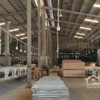 Xưởng Bến Cát Cho Thuêdiện Tích18.000M2 ,Xưởng 12.000M2 Lh E Lam