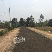 Bán Đất Khu Qh Phân Lô Tiên Sơn 3, Tân Sơn, Pleiku, Gia Lai Giá Bán 1,1 Tỷ/440M2