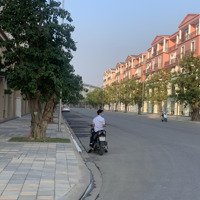 Chỉ 9 Tỷ Sở Hữu Ngay Shophouse Đẹp Nhất Tại Vinhome Ocean Park 3