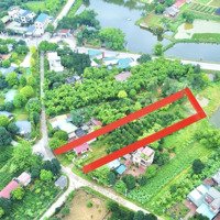 Gấp, Thanh Khoản 2000M2, 600M2 Thổ Cư, View Đẹp Giá Đầu Tư