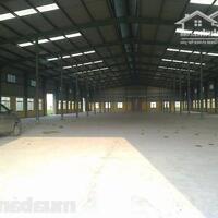 Cho thuê kho, xưởng DT 12500m2 trong KCN mở rộng tỉnh Nam Định.