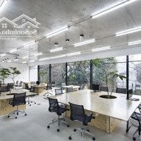 Chính Chủ Cho Thuê Văn Phòng Diện Tích Từ 50M2 - 250M2 Ngay Mặt Phố Duy Tân - Dịch Vọng Hậu