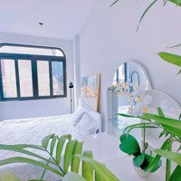 Cho Thuê Chung Cư Mini Ngõ 56/79 Cầu Giấy 5,2 Triệu/Tháng - View Đẹp, Diện Tích 25M2