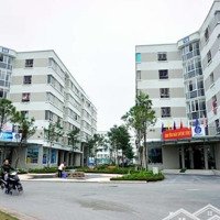 Cho Thuê Căn Hộ Chung Cư Đặng Xá 1, Giá Tốt Chỉ Với 4,8 Triệu Vnd, 56 M2