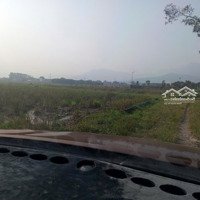 Chính Chủ Cần Bán Đất Ruộng Tại Phù Ninh, Minh Phú, Sóc Sơn, Hà Nội