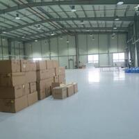 Bán xưởng 16000m2 KCN Mỹ Xuân, Tx Phú Mỹ, BRVT