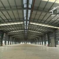 Cần Bán 7000M2 Đất Sổ Riêng Giá Bán 3.5 Triệu/M2, Xd Kho / Xưởng Tại P. Hòa Lợi, Tx Bến Cát, Bình Dương