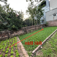 Bán 48.4M2 Đất Sen Hồ Lệ Chi Giá Rẻ Còn Sót Lại