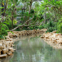 Chào Bán Căn Hộ 2 Ngủ Chung Cư Tại Haven Park Rẻ Nhất Thị Trường