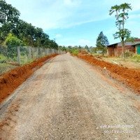 Chính Chủ Bán Đất View Hồ Tân Lợi, Gia Nghĩa, Đăk Nông - Đà Lạt Thứ 2, Diện Tích 8 Sào, Giá Bán 4,5 Tỷ