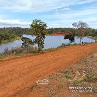 Chính Chủ Bán Đất View Hồ Tân Lợi, Gia Nghĩa, Đăk Nông - Đà Lạt Thứ 2, Diện Tích 8 Sào, Giá Bán 4,5 Tỷ