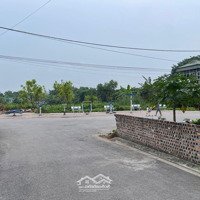 Bán Đất Dương Quang, Gia Lâm Giá Chỉ 36 Triệu/M2