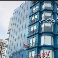 Tòa Building Siêu Khan Hiếm - Duy Nhất Ngay Khu Sân Bay Mặt Tiền Hậu Giang, Phường 4, Quận Tân Bình