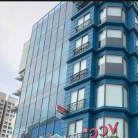 Tòa Building Siêu Khan Hiếm - Duy Nhất Ngay Khu Sân Bay Mặt Tiền Hậu Giang, Phường 4, Quận Tân Bình