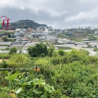 View Thung Lũng Đèn, Đất Trịnh Hoài Đức, P11, Đà Lạt Giá Tốt Đầu Tư