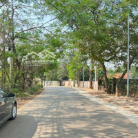 Bán Đất Đẹp Mặt Trục Chính Nông Lâm - Vai Réo - Phú Cát - Hn
