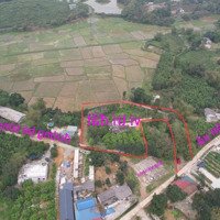 Cần Bán Đất Nghỉ Dưỡng View Cánh Đồng, Giá Rẻ Nhất Khu Vực