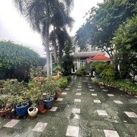 Cho Thuê Căn Biệt Thự 800M2, 1/ Đường Thống Nhất. Phù Hợp Làm Nhà Trẻ, Xây Chdv Cải Tạo Tự Do