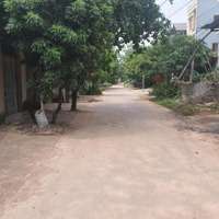 Chính Chủ Em Bán Lô Đất 250M2 Full Thổ Cư. 0979635385