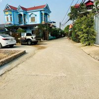 Cần Bán Gấp 100M2 Tân Minh Sóc Sơn