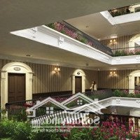 Bán Gấp Căn Hộ Léman Luxury Apartments, Giá Siêu Hời 16,5 Tỷ Vnd, Diện Tích 113 M2