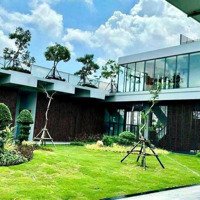 Nền Biệt Thự View Sông Khu Hưng Vượng - Hai Mặt Tiềndiện Tích288M2 Giá Cực Tốt Chỉ 16 Triệu/M2 Bao Thuế Phí