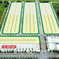 Nay Em Có Ô Đất 150M2 Bán Nhanh Giá Siêu Đẹp Ngay Trung Tâm Hành Chính Bàu Bàng