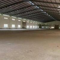 Cho Thuê 11.500m2 Nhà Xưởng Trong KCN Bình Dương DT Đất 22.000m2