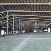 Cho Thuê 11.500m2 Nhà Xưởng Trong KCN Bình Dương DT Đất 22.000m2