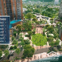 Căn Hộ Symphony View Biển Tầng Cao Chỉ 2,7 Tỷ 37M2 Siêu Cháy Hàng - Doanh Thu Cho Thuê 20 Triệu/Tháng