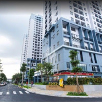 Cho Thuê Căn Hộ M-One Nam Sài Gòn, 10 Triệu Vnd, 45 M2, View Đẹp