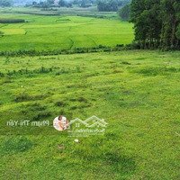 Chuyển Nhượng Lại Mảnh Đất View Cánh Đồng Cực Thoáng Đẹp 2000M/100M Tc Tại Lương Sơn - Hoà Bình