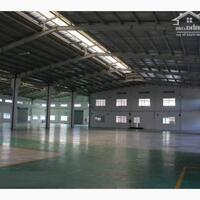 Cho Thuê Nhà Xưởng 6000M2 Giá Chỉ 300 Triệu/Th Trong Kcn Thuận An, Bình Dương