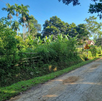 Bán Đất Tại Làng Hạ, Xã Phùng Minh, Huyện Ngọc Lặc, Tỉnh Thanh Hóa