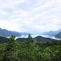 Hoa Hậu 3000 M2 View Hồ Hòa Bình Tại Xóm Doi, Hiền Lương, Đà Bắc Cách Tt Hà Nội 85 Km