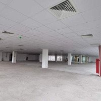 Cho Thuê Văn Phòng Đường Lạc Long Quân, Tây Hồ Giá Tốt 310 Nghìn / M2, Diện Tích 1000 M2