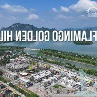 (Hot) Bán Liền Kề View Đẹp Tại Flamingo Golden Hill, Giá Cực Chất Chỉ 5,8 Tỷ Vnd, 7X15M, 3,5 Tầng