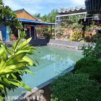 Homestay Vườn 1550M2 Khu Sân Bay Lộc An - Hồ Tràm - Giảm Ngay 1.5 Tỷ