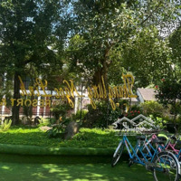 Chuyển Nhượng Resort Thung Lũng Ngọc Linh, Tiến Xuân, Thạch Thất, Hà Nội Vip Giá Rẻ