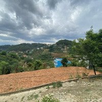 Siêu Phẩm Đất Nghỉ Dưỡng 2393M2 Mặt Tiền 100M Chỉ 28 Tỷ Khe Sanh, P. 10, Đà Lạt View Đồi Thông